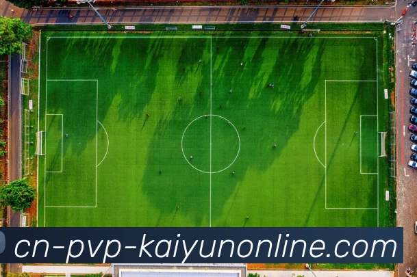 开云APP 体育赛事宣传图